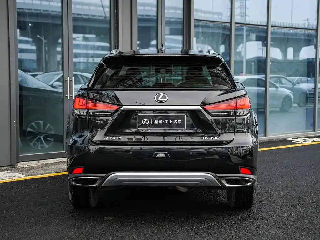 Lexus RX 2022 из CN, фото 10
