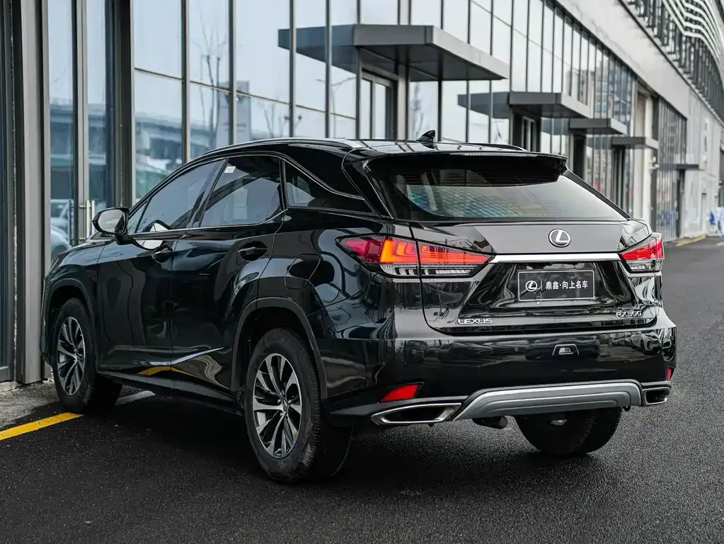 Lexus RX 2022 из CN, фото 6