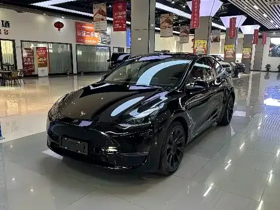 Tesla Model Y 2021 из CN, фото 1