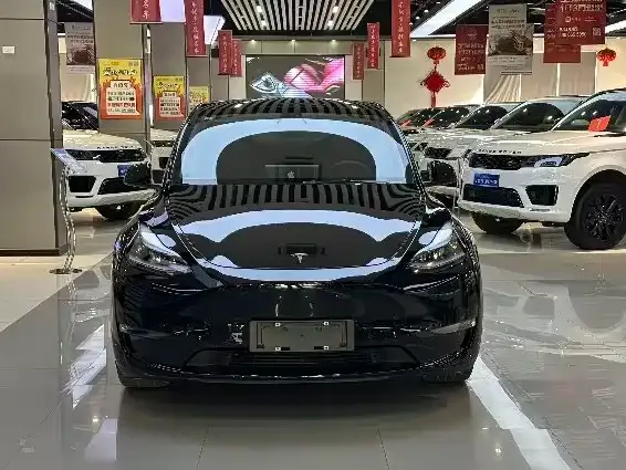 Tesla Model Y 2021 из CN, фото 6