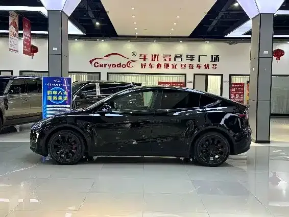 Tesla Model Y 2021 из CN, фото 8