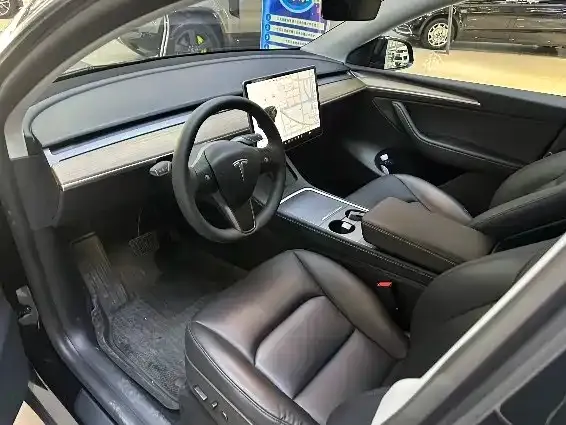 Tesla Model Y 2021 из CN, фото 3