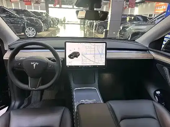 Tesla Model Y 2021 из CN, фото 5