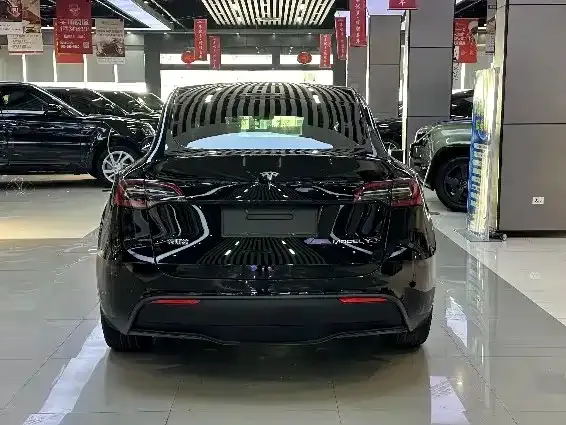 Tesla Model Y 2021 из CN, фото 7