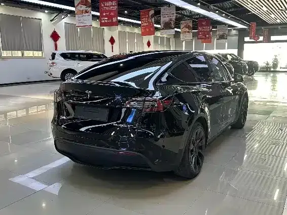Tesla Model Y 2021 из CN, фото 9