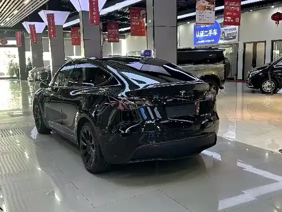 Tesla Model Y 2021 из CN, фото 4