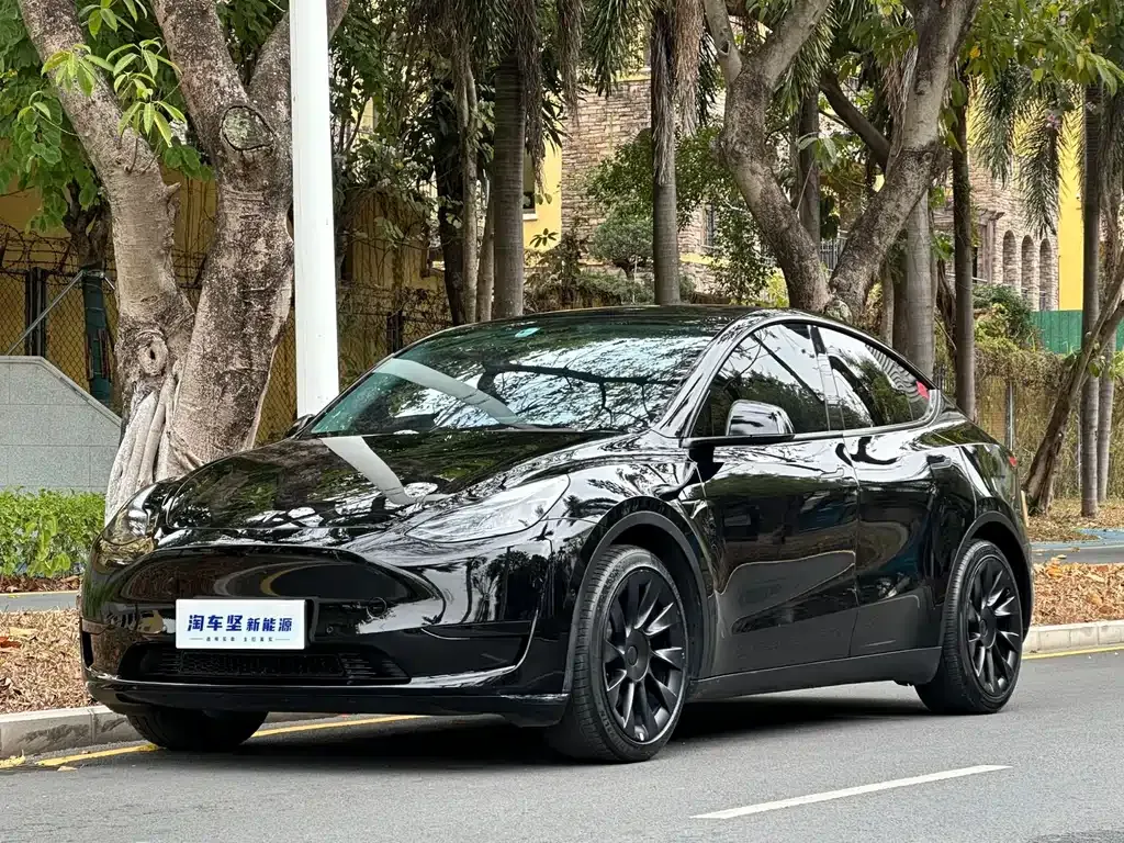 Tesla Model Y 2022 из CN, фото 1