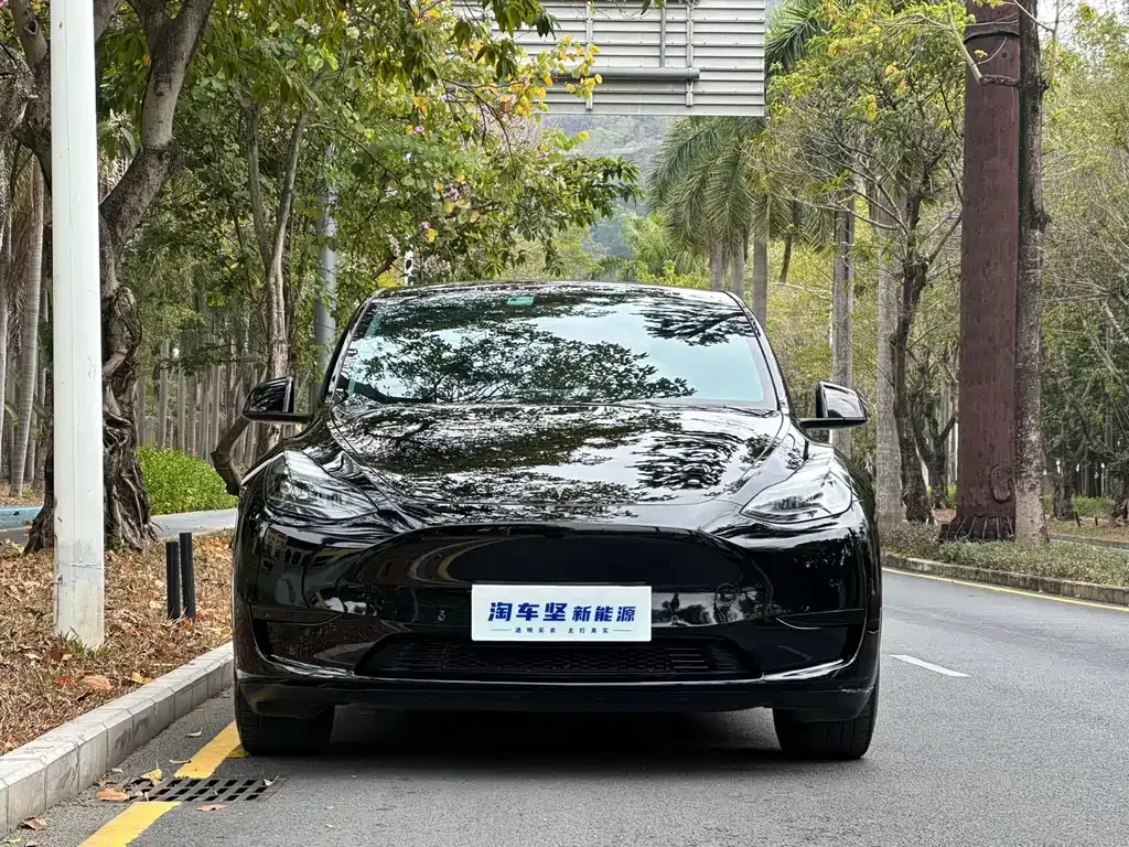 Tesla Model Y 2022 из CN, фото 7