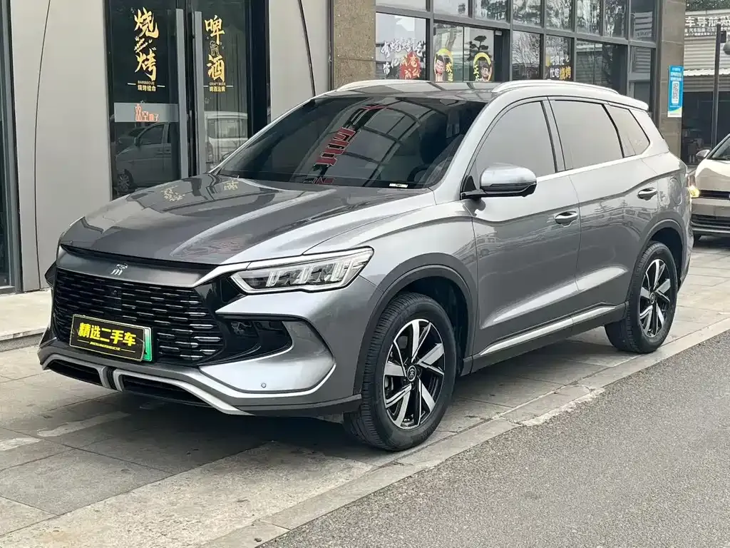 BYD Pro New Energy 2024 из CN, фото 1