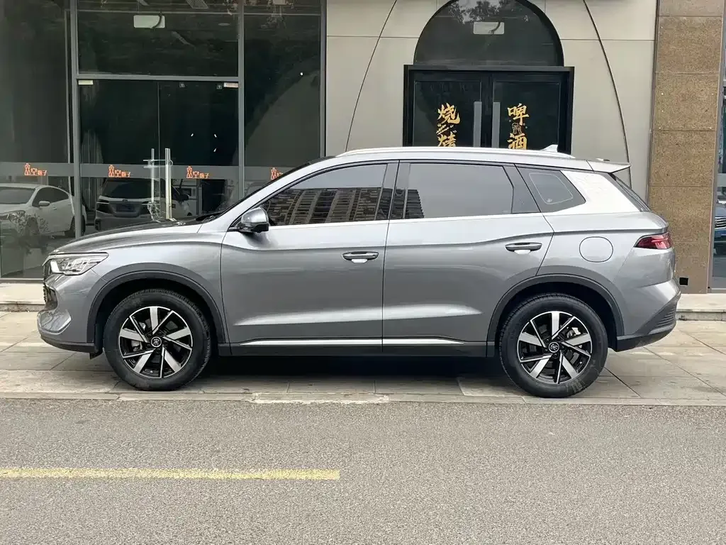 BYD Pro New Energy 2024 из CN, фото 9