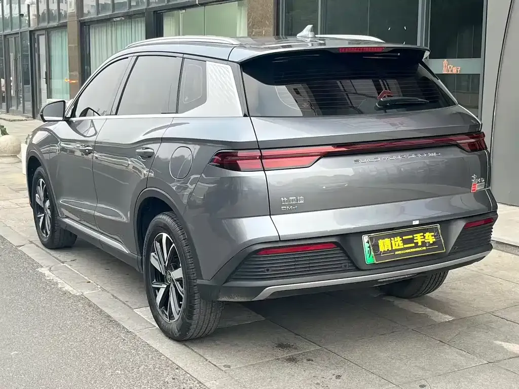 BYD Pro New Energy 2024 из CN, фото 5