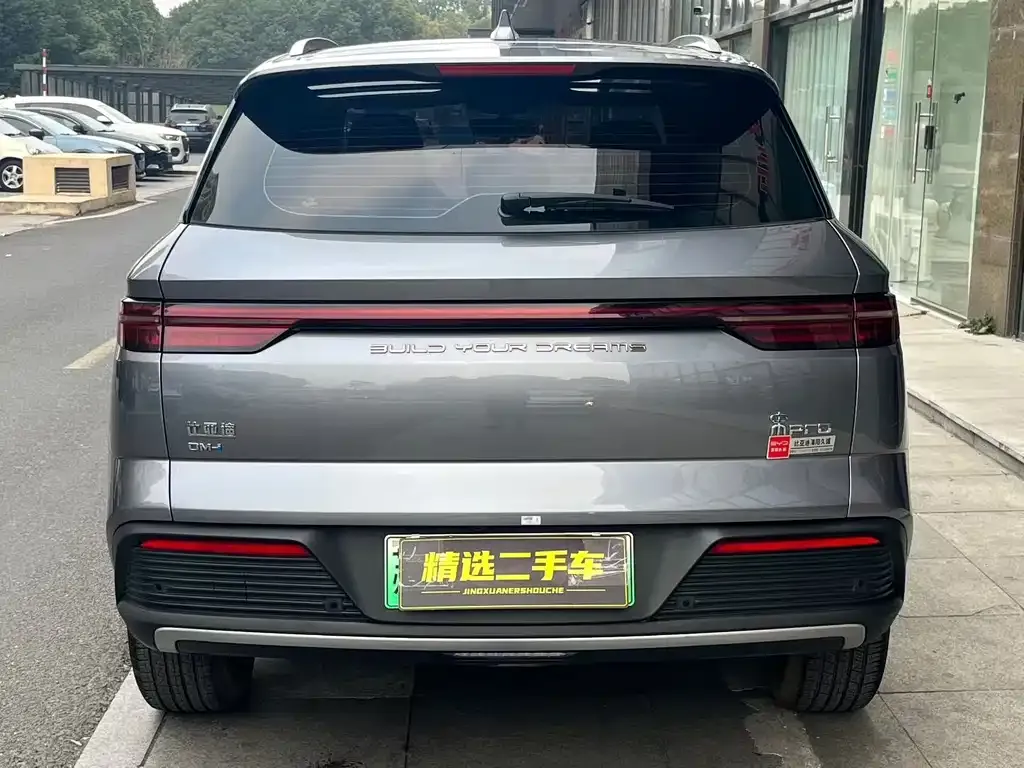 BYD Pro New Energy 2024 из CN, фото 4