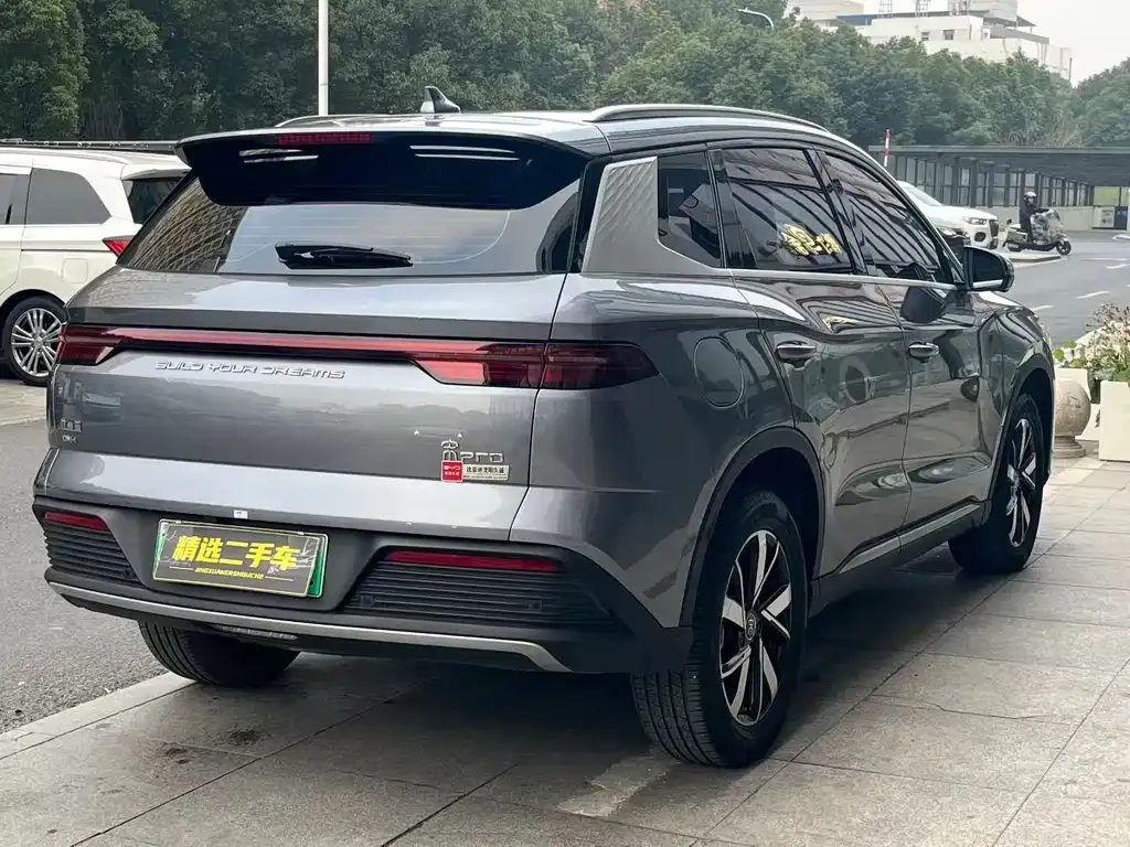 BYD Pro New Energy 2024 из CN, фото 8