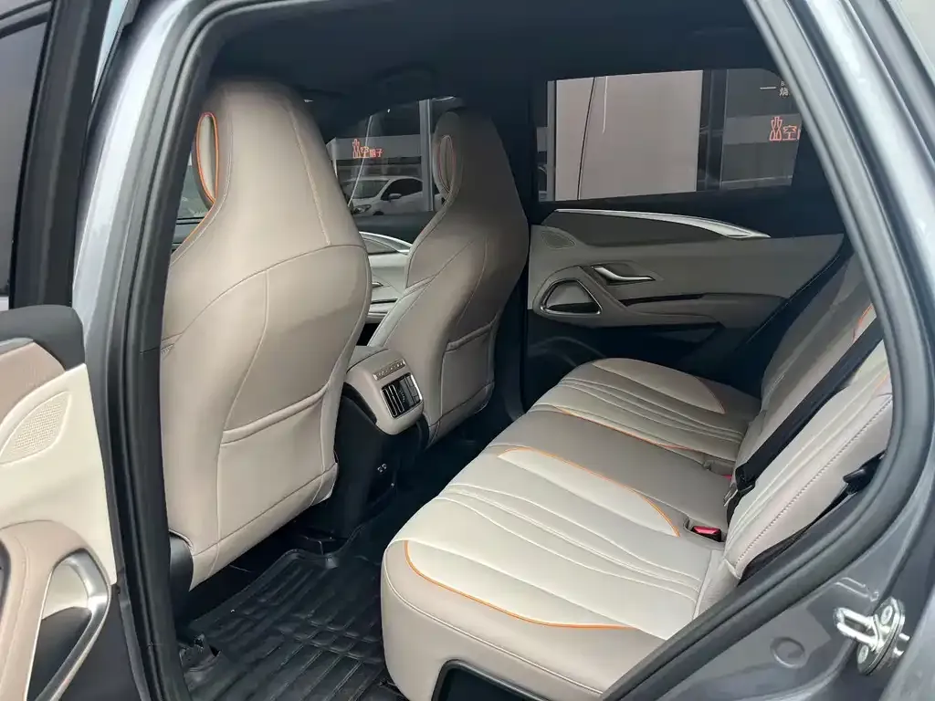 BYD Pro New Energy 2024 из CN, фото 2