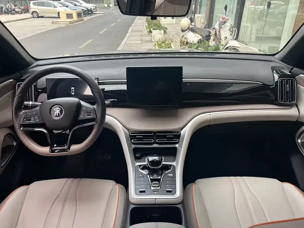 BYD Pro New Energy 2024 из CN, фото 3
