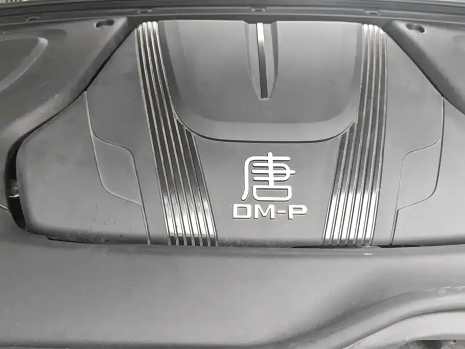 BYD Tang New Energy 2023 из CN, фото 2