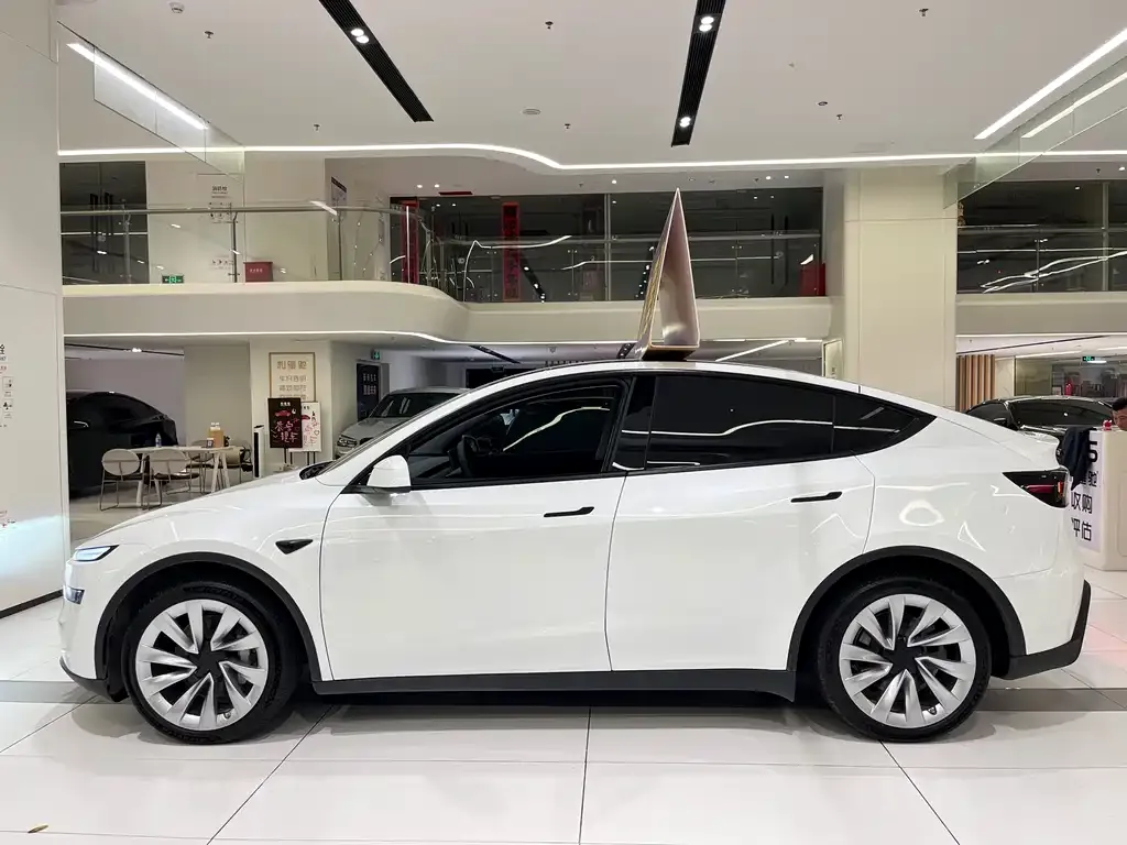 Tesla Model Y — фото 3