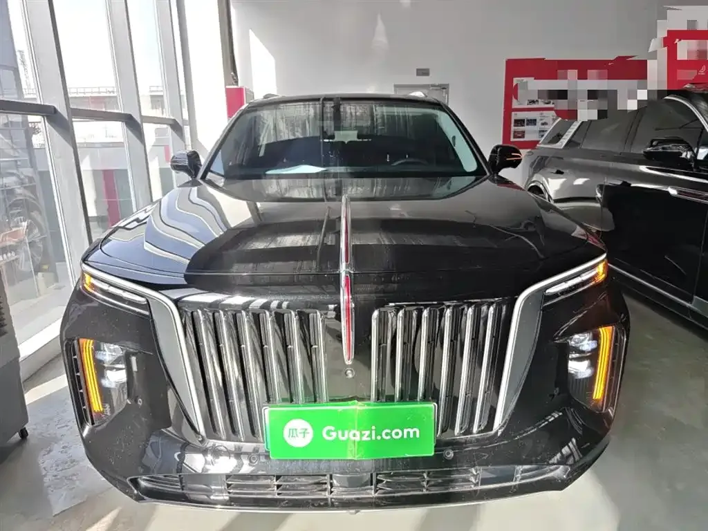 Hongqi E-HS9 2023 из CN, фото 4