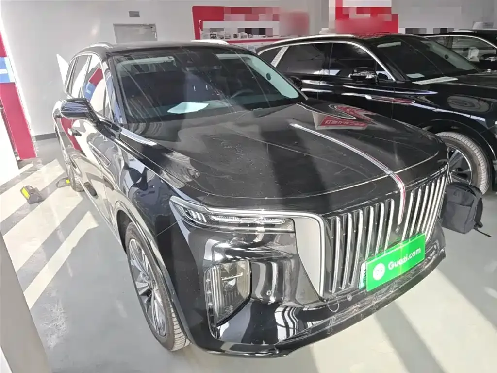Hongqi E-HS9 2023 из CN, фото 3