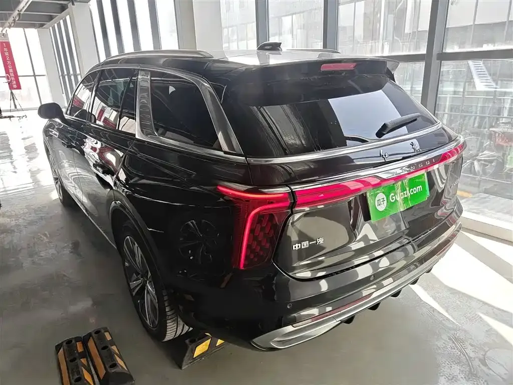 Hongqi E-HS9 2023 из CN, фото 10
