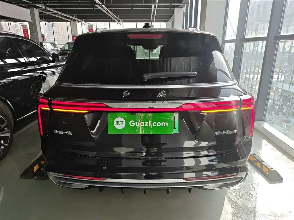 Hongqi E-HS9 2023 из CN, фото 9