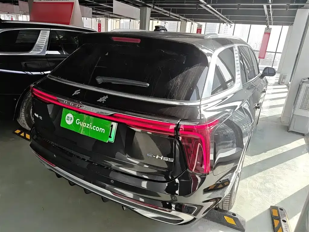 Hongqi E-HS9 2023 из CN, фото 8