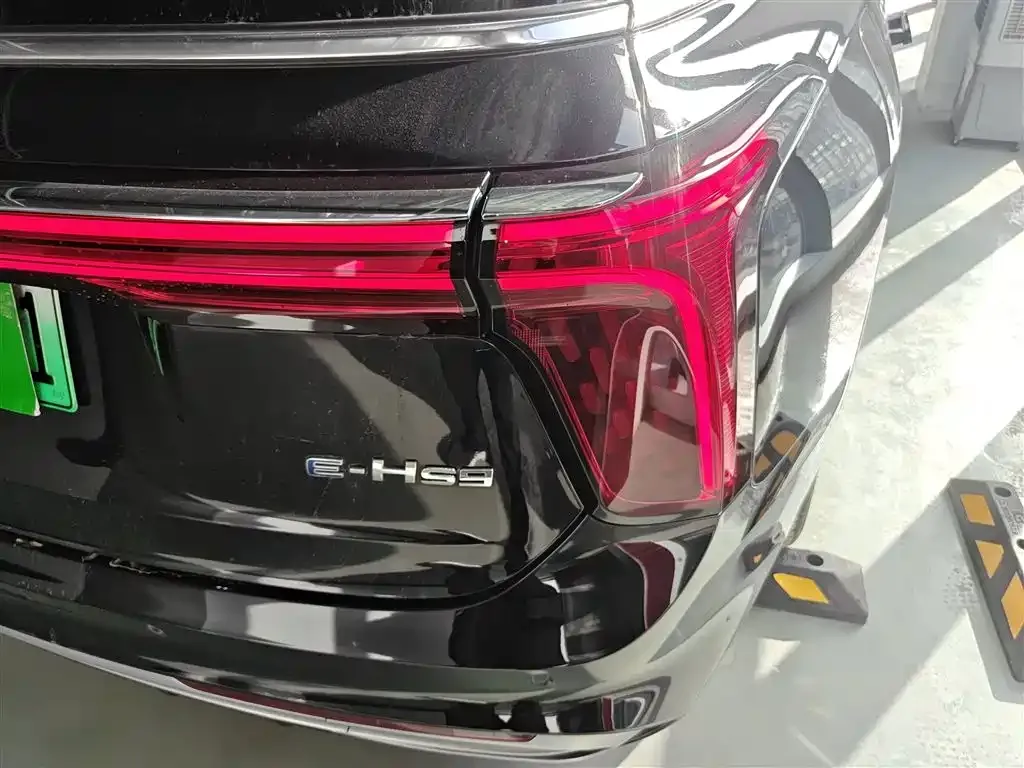 Hongqi E-HS9 2023 из CN, фото 5