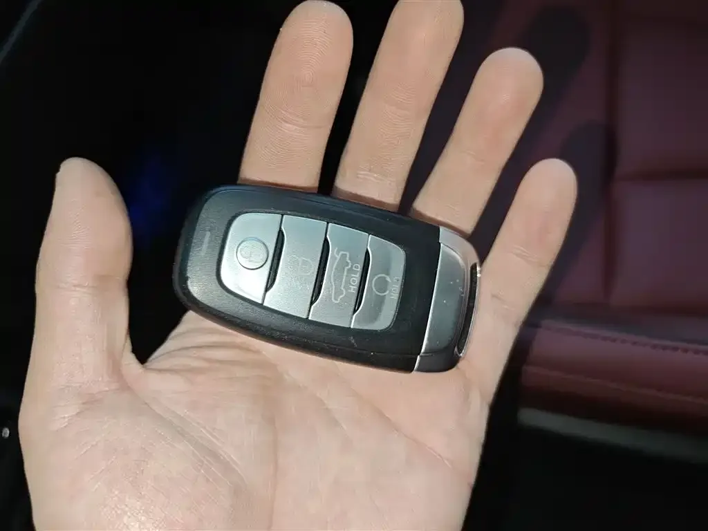 Hongqi E-HS9 2023 из CN, фото 7