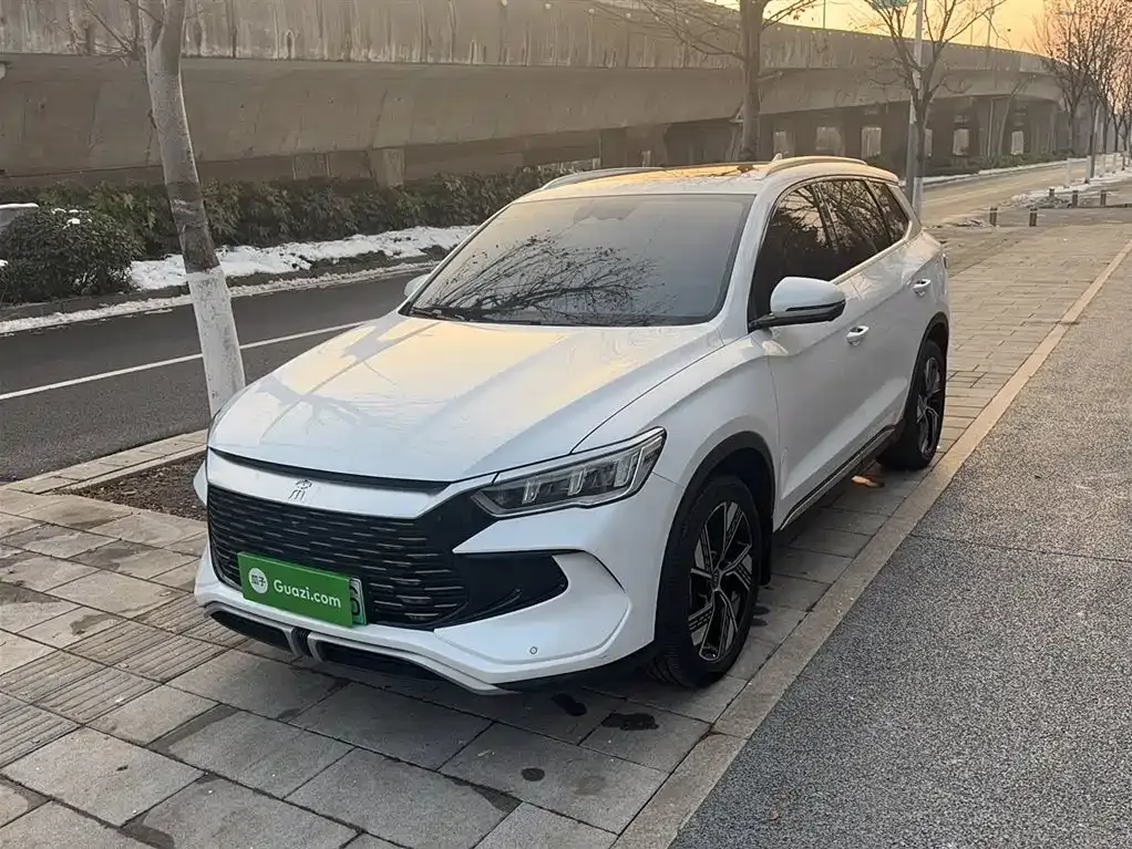 BYD Pro New Energy 2024 из CN, фото 1