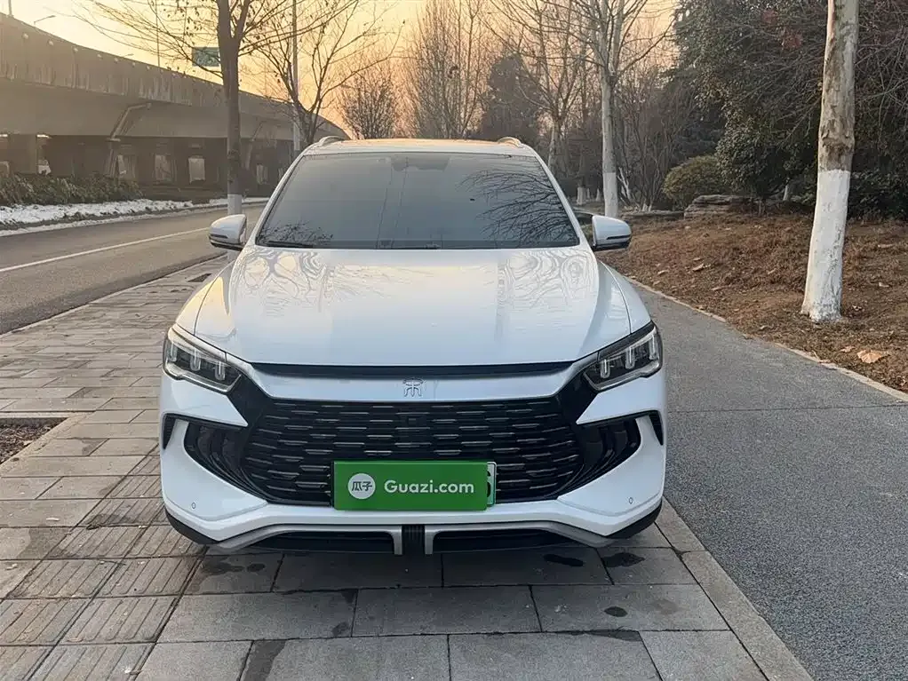 BYD Pro New Energy 2024 из CN, фото 5