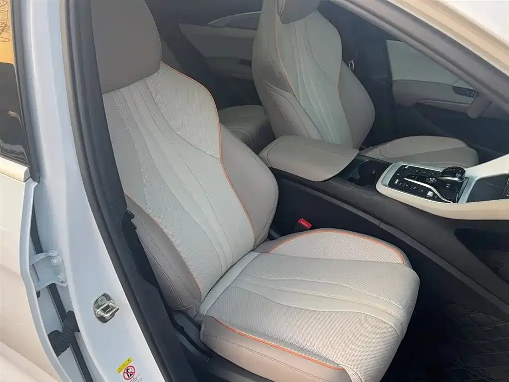 BYD Pro New Energy 2024 из CN, фото 6