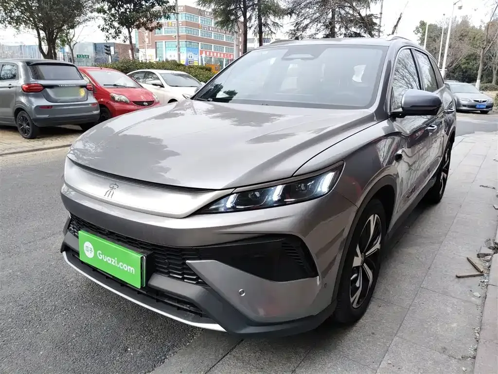 BYD Pro New Energy 2025 из CN, фото 1
