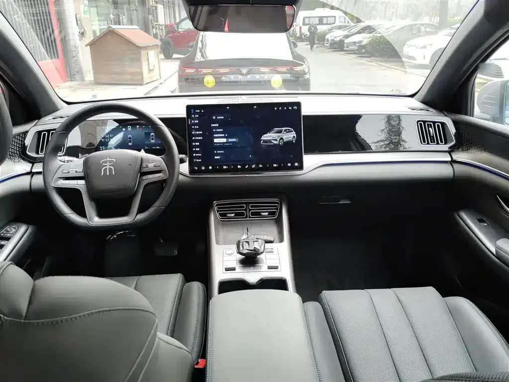 BYD Pro New Energy 2025 из CN, фото 5