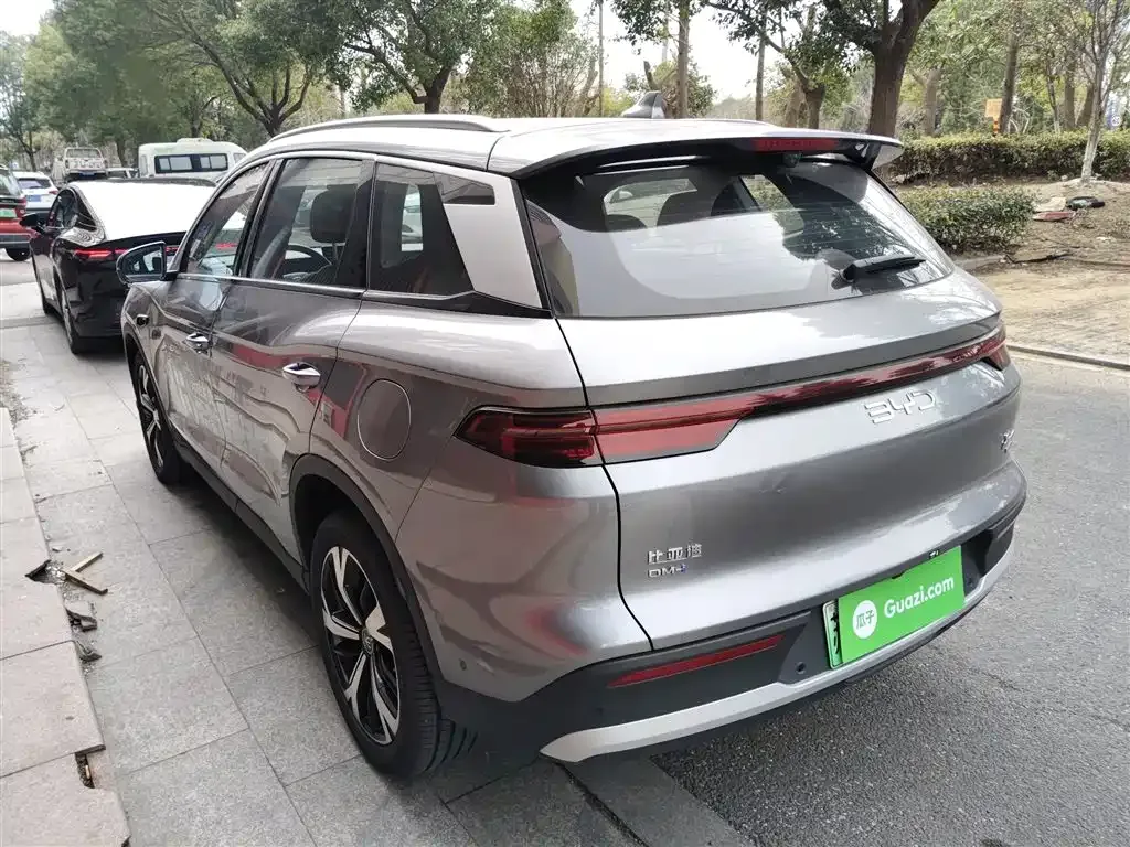 BYD Pro New Energy 2025 из CN, фото 7
