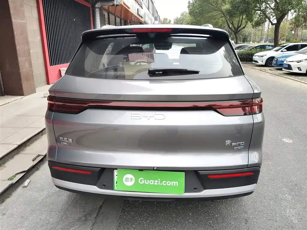 BYD Pro New Energy 2025 из CN, фото 3