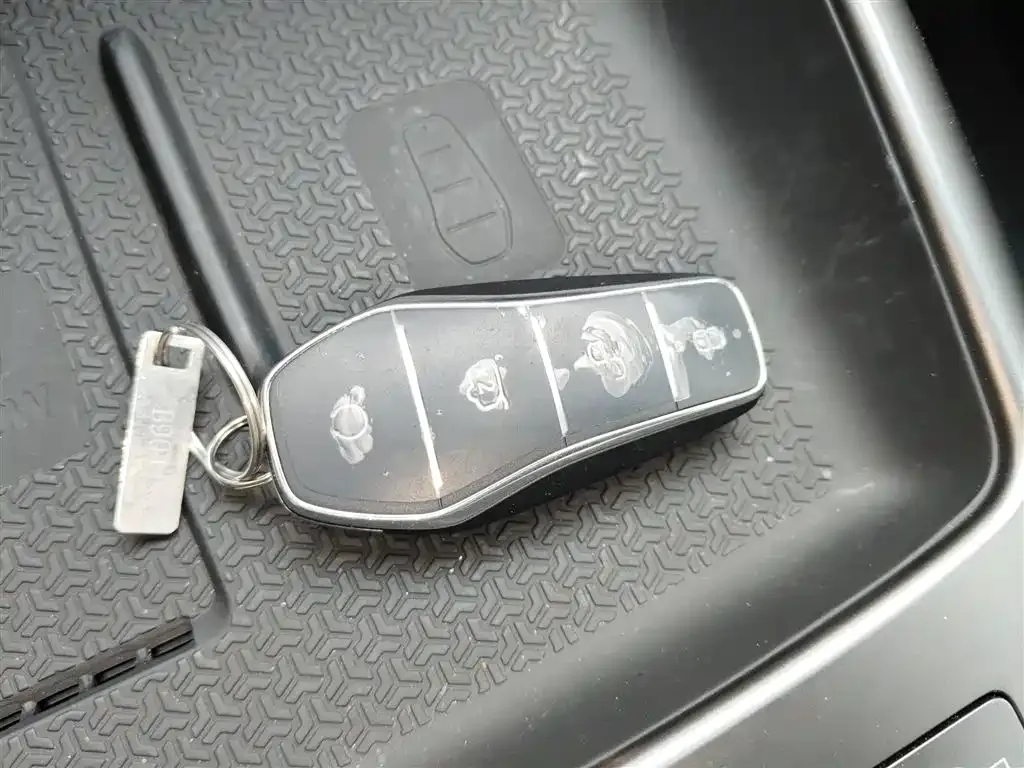 BYD Pro New Energy 2025 из CN, фото 2