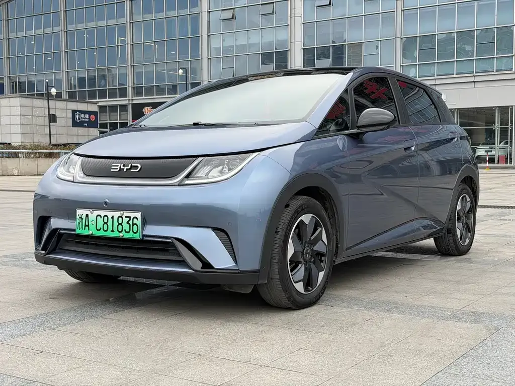 BYD Dolphin 2024 из CN, фото 1