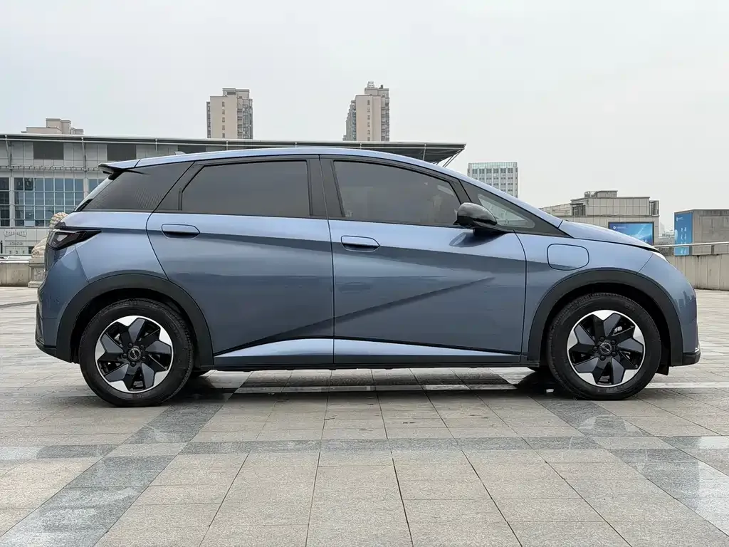 BYD Dolphin 2024 из CN, фото 2