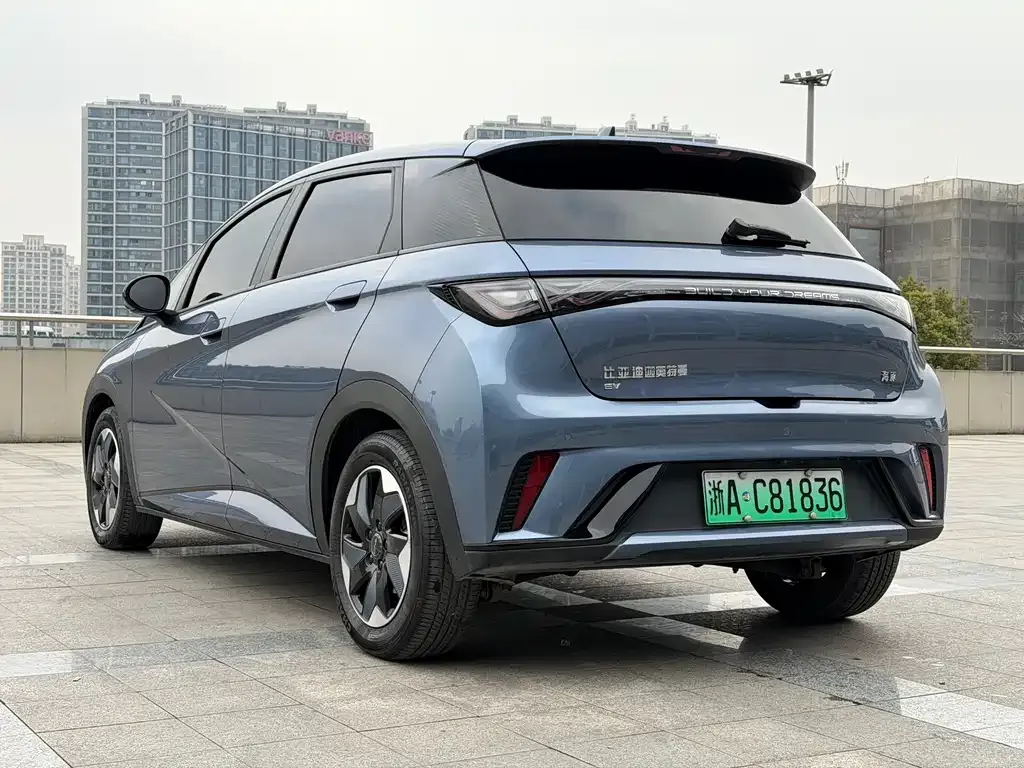 BYD Dolphin 2024 из CN, фото 7
