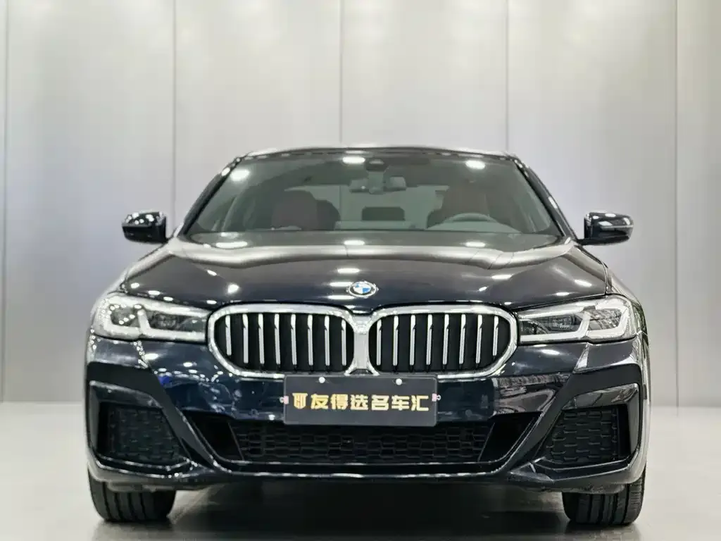 BMW 5 Series 2023 из CN, фото 4