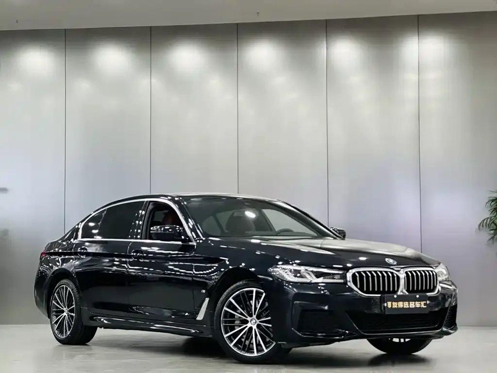 BMW 5 Series 2023 из CN, фото 8