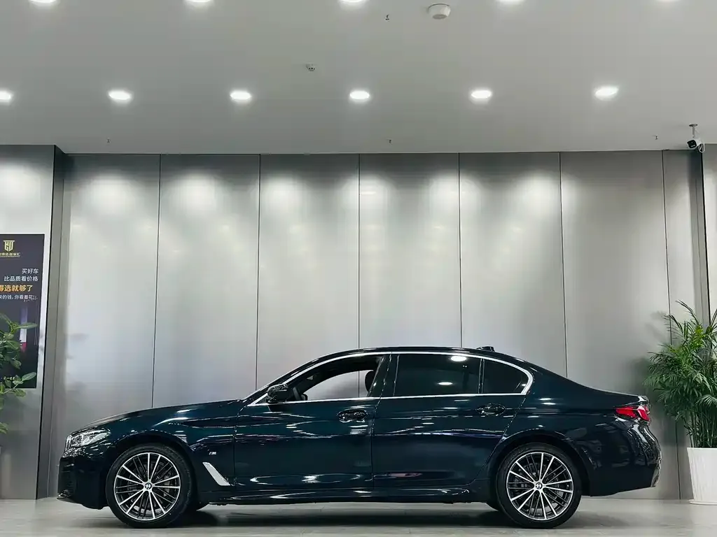 BMW 5 Series 2023 из CN, фото 2