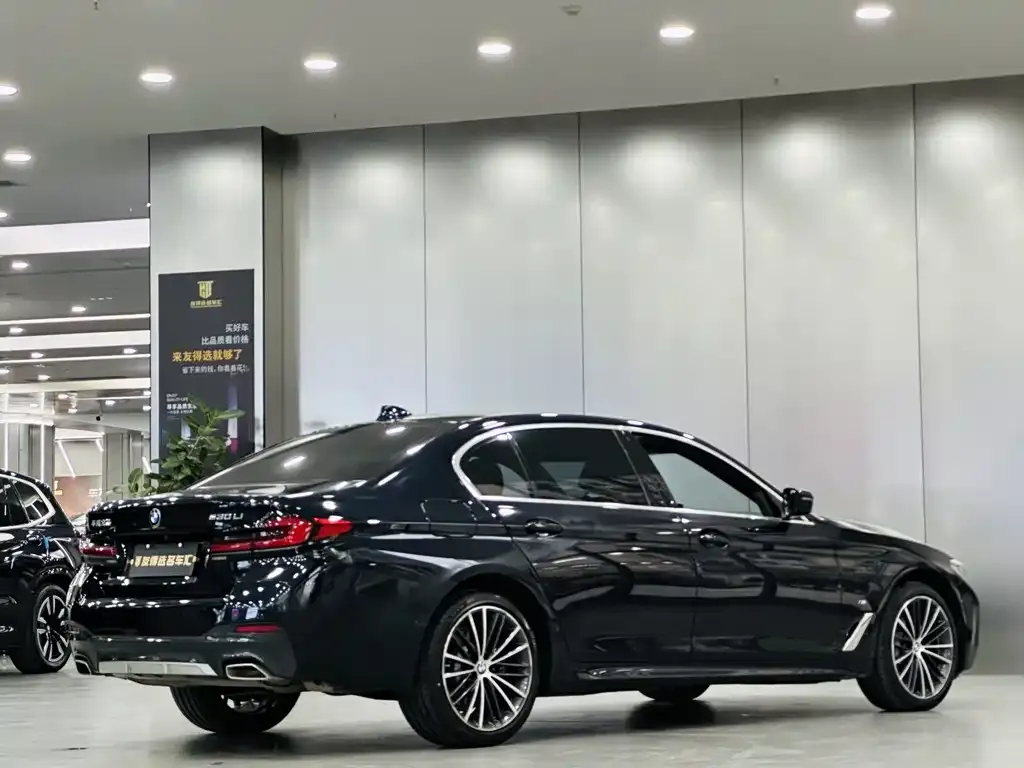 BMW 5 Series 2023 из CN, фото 3