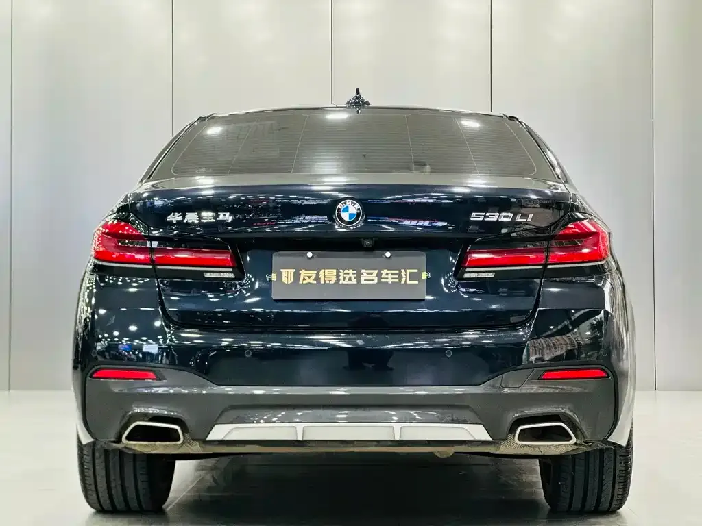 BMW 5 Series 2023 из CN, фото 7