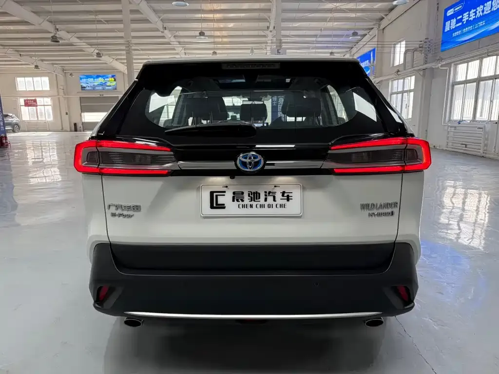 Toyota Wildlander 2023 из CN, фото 10