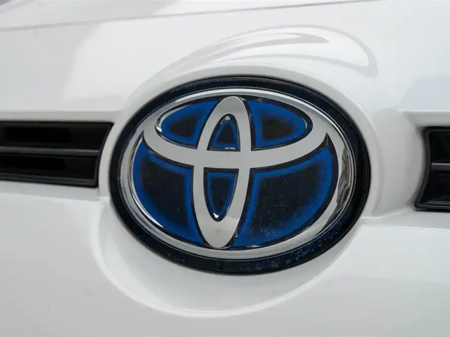 Toyota Wildlander 2023 из CN, фото 10