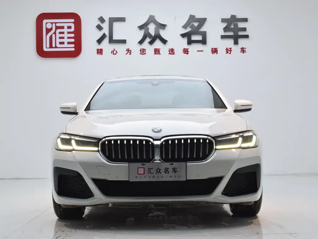 BMW 5 Series 2022 из CN, фото 3