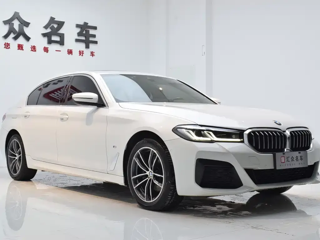 BMW 5 Series 2022 из CN, фото 8