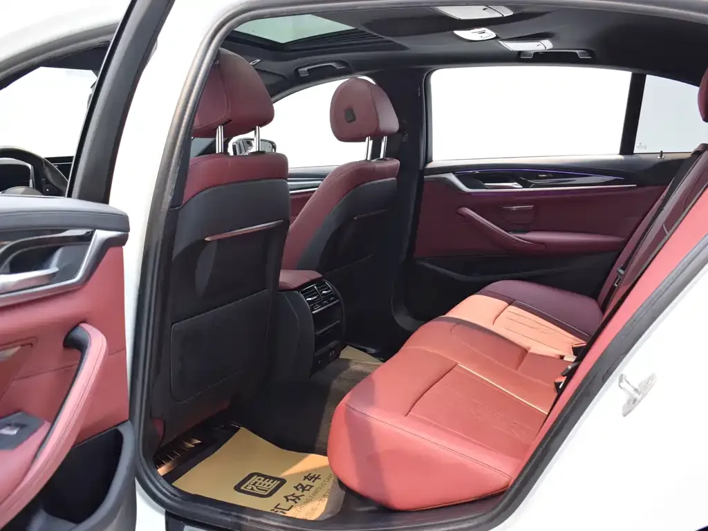BMW 5 Series 2022 из CN, фото 9