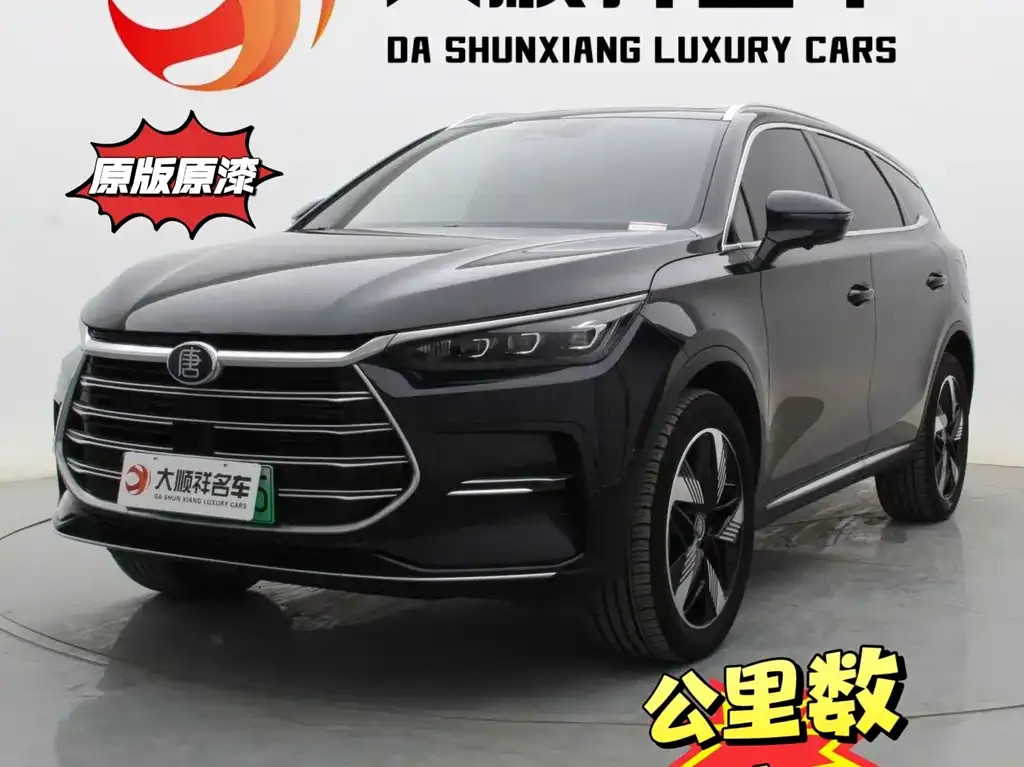 BYD Tang New Energy — фото 1